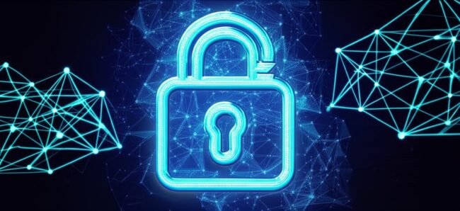 The Role of Governments and Companies in Privacy Protection The Role of Governments and Companies in Privacy Protection